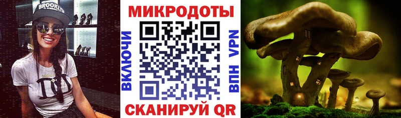 Псилоцибиновые грибы Magic Shrooms  Бор 